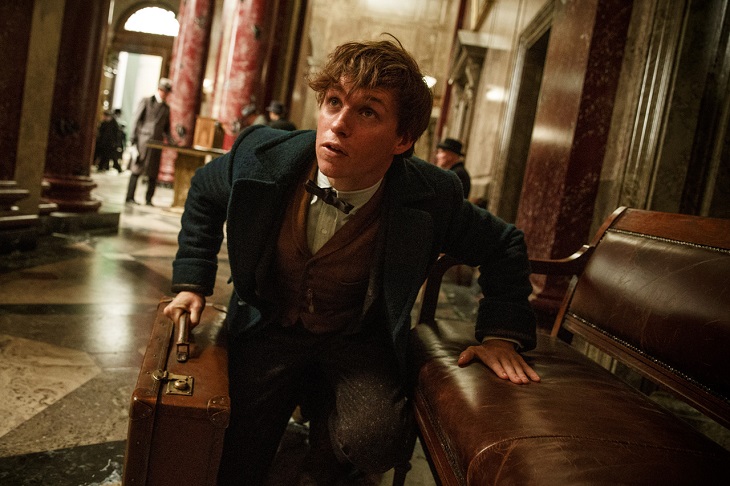 Bluray Fantastic Beasts And Where To Find Them Online Movie