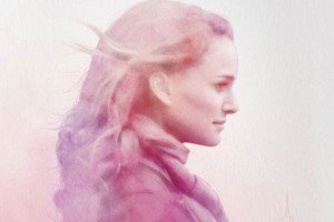 El amor y otras cosas Imposibles ( The Other Woman )