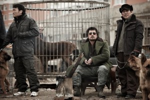 Trailer Yellow sea interior