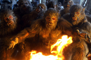 Lobos de arga interior2