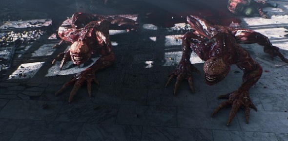 Sony Otoño Interior 2