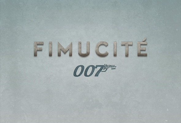 Fimucite 2013 Interior