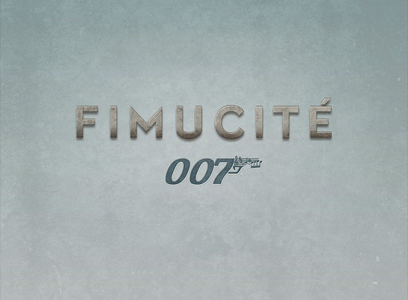 Fimucite 2013 Interior