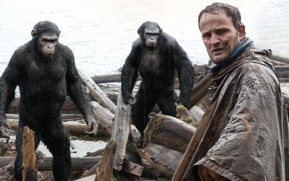 Confrontación en 'El amanecer del planeta de los simios' Confrontación en 'El amanecer del planeta de los simios'