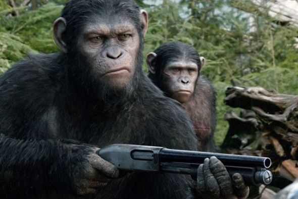 César, enfadado y armado en 'El amanecer del planeta de los simios'