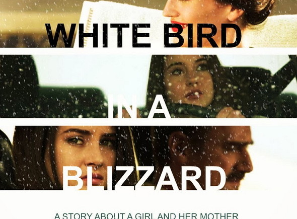 White Bird in a Blizzard