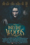 Into the woods