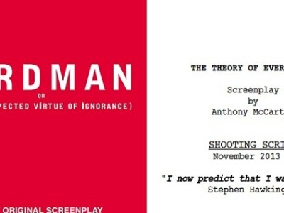 'Birdman' y 'La teoría del todo', dos guiones favoritos para el Oscar