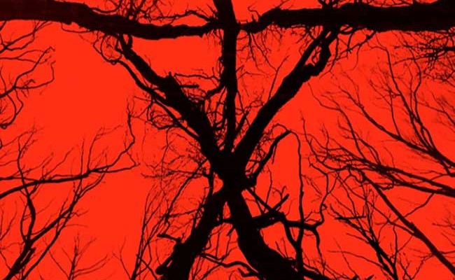 Blair Witch destacada