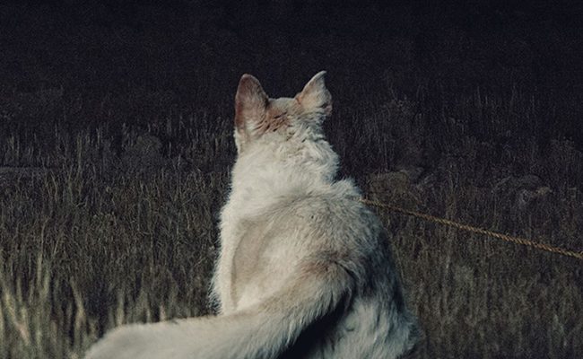 Póster de 'It Comes at night' destacada