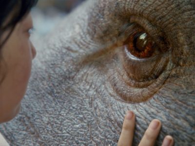 Netflix nos trae ‘Okja’ del visionario director Bong Joon Ho