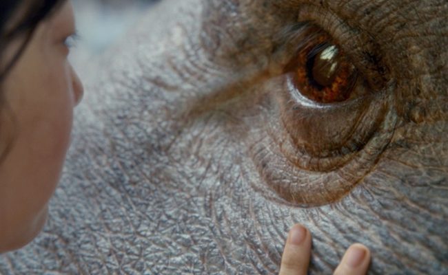 Netflix nos trae ‘Okja’ del visionario director Bong Joon Ho