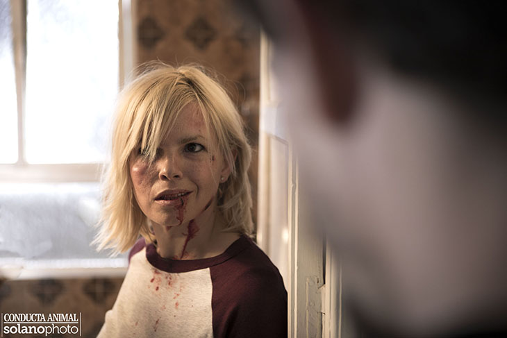 not_17_conductaanimal-interior2