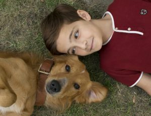 ‘Tu mejor amigo’ teaser tráiler