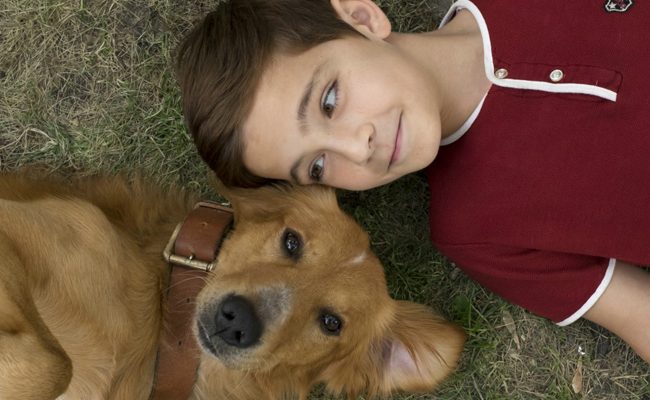 ‘Tu mejor amigo’ teaser tráiler