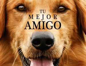 not_17_tumejoramigo-carrusel