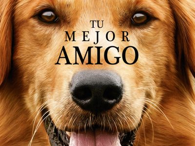 not_17_tumejoramigo-carrusel