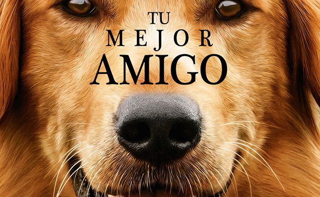 not_17_tumejoramigo-carrusel