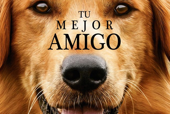 not_17_tumejoramigo-carrusel