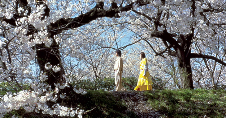 not_17_dolls-interior