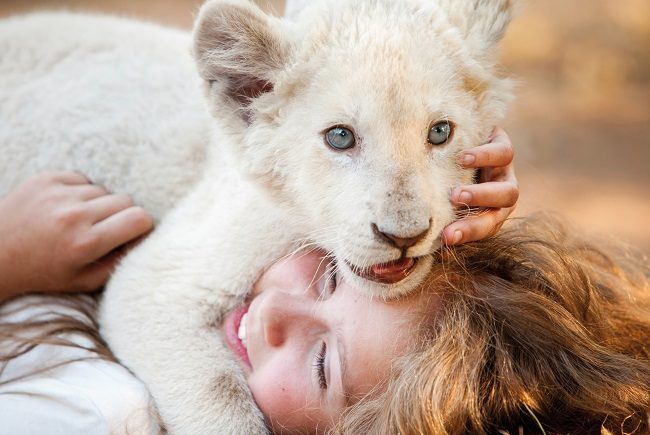 Mia y el león blanco', de profecías, niños y leones
