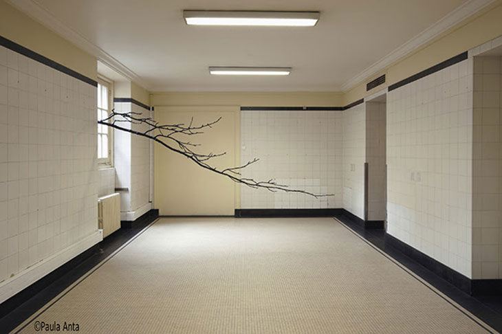 Una de las imágenes de #PHEdesdemibalcón DE PHOTOESPAÑA